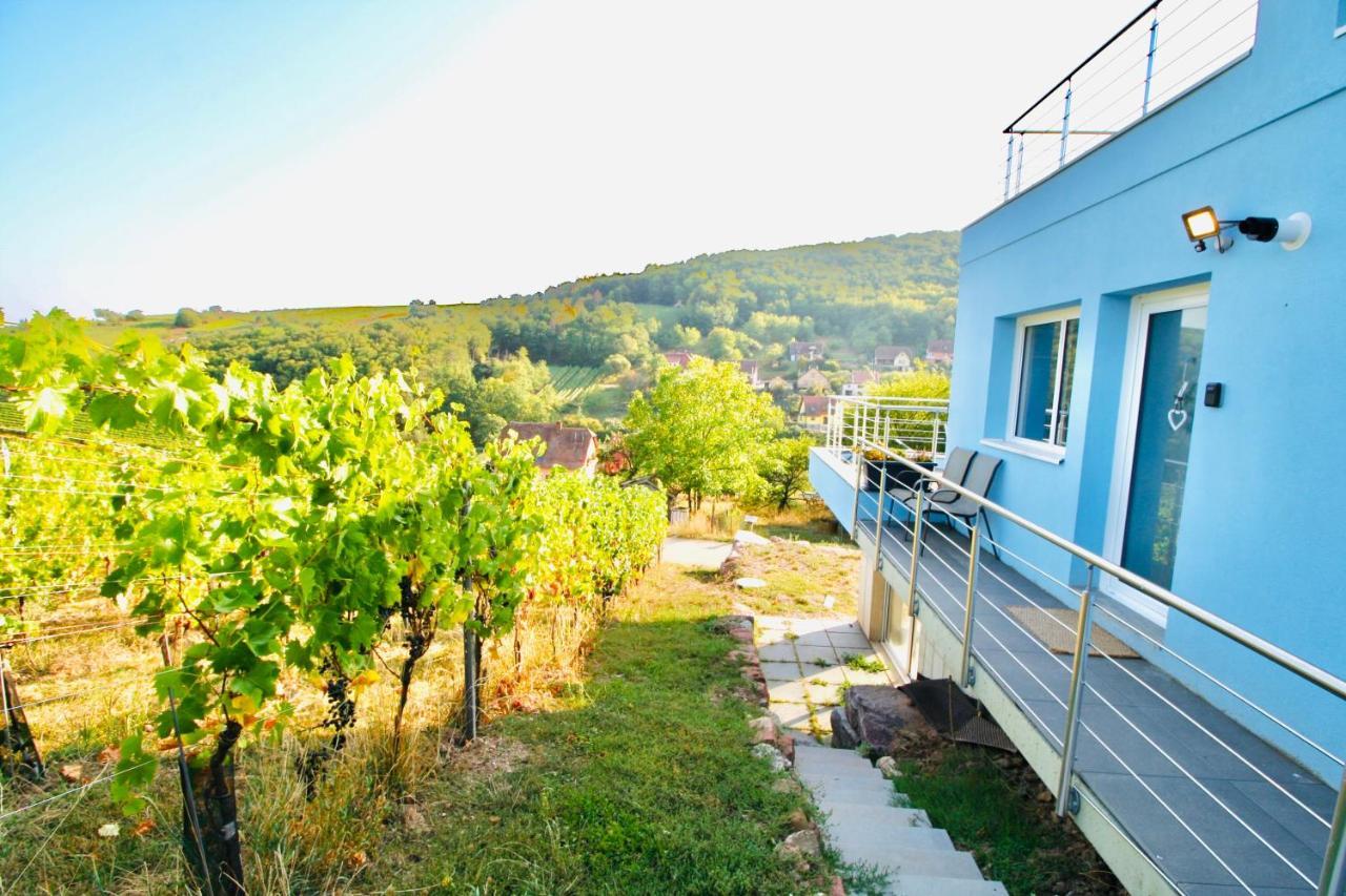 Ferienwohnung Domaine BOHN Blue Winehouse Reichsfeld Exterior foto