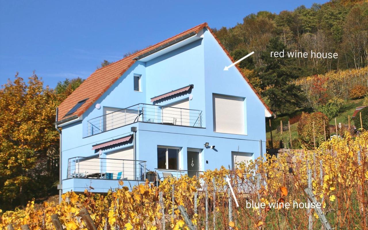 Ferienwohnung Domaine BOHN Blue Winehouse Reichsfeld Exterior foto