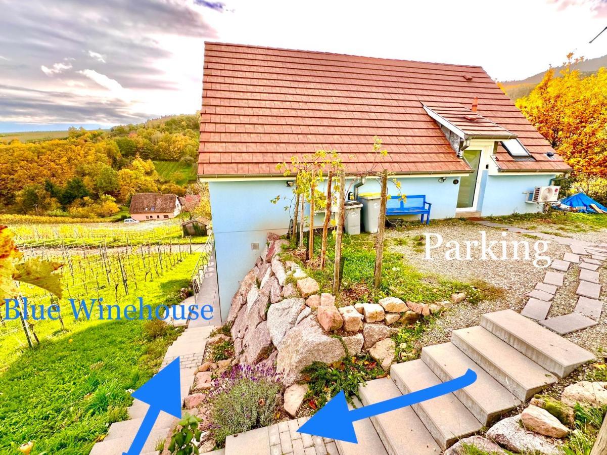 Ferienwohnung Domaine BOHN Blue Winehouse Reichsfeld Exterior foto