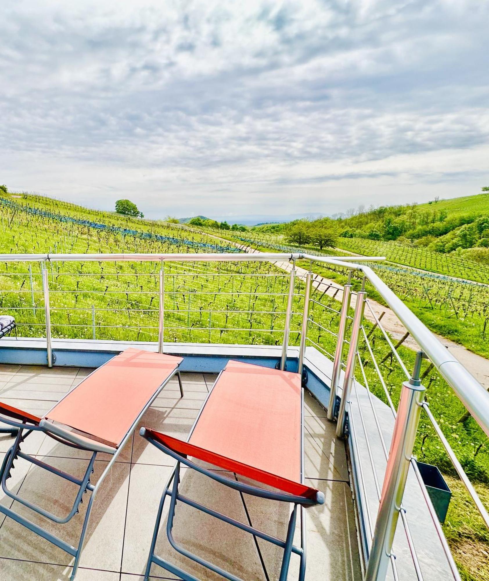 Ferienwohnung Domaine BOHN Blue Winehouse Reichsfeld Exterior foto