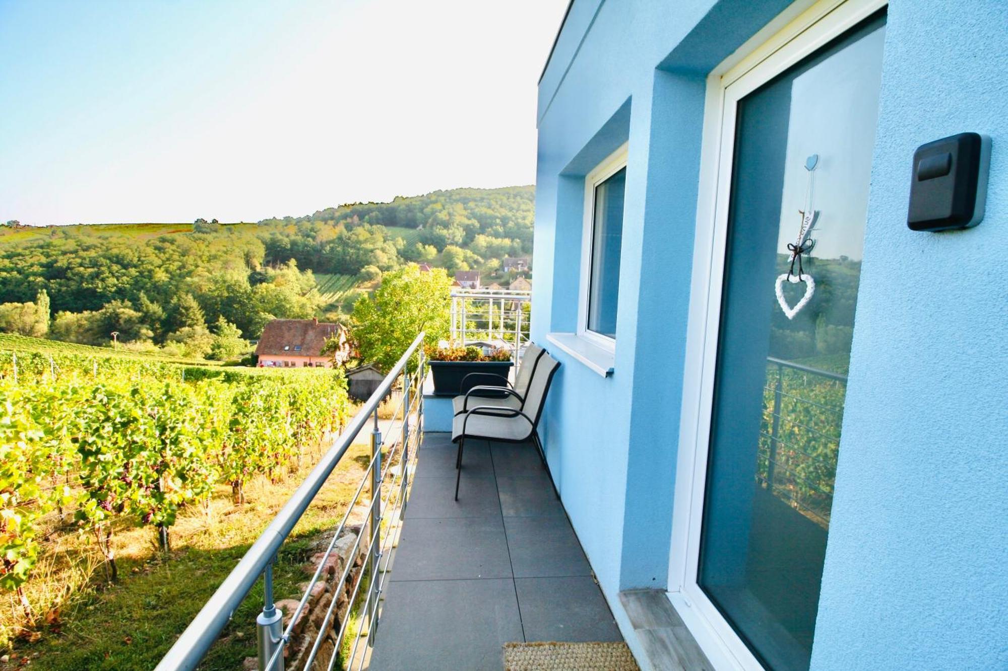 Ferienwohnung Domaine BOHN Blue Winehouse Reichsfeld Exterior foto