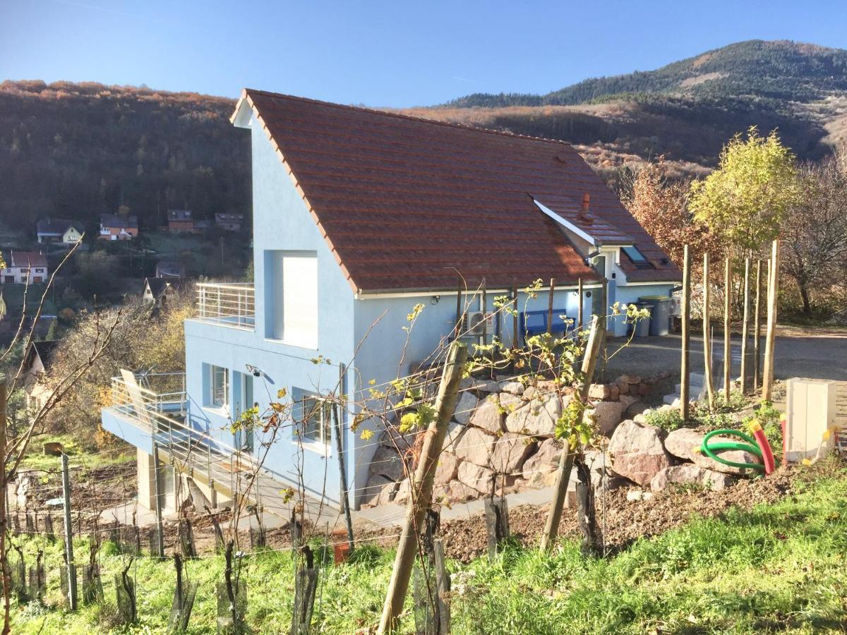 Ferienwohnung Domaine BOHN Blue Winehouse Reichsfeld Exterior foto